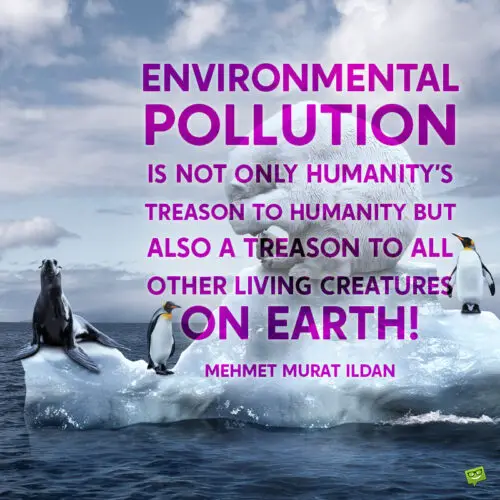 Environment quote to awaken us.