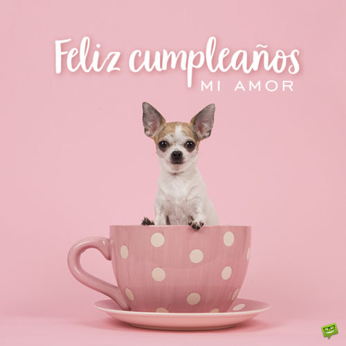 Deseo de cumpleaños sobre una imagen de un perrito dentro de una taza. Feliz cumpleaños mi amor.