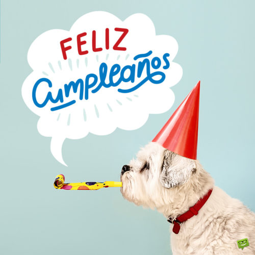 Deseo de cumpleaños sobre una imagen den un perrito.