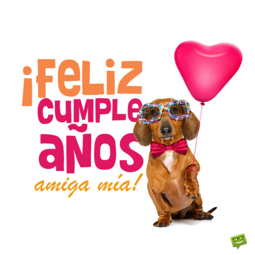 Deseo de Feliz cumpleaños en una imagen de un perrito para un amiga. Frases de Cumpleaños para una Amiga.