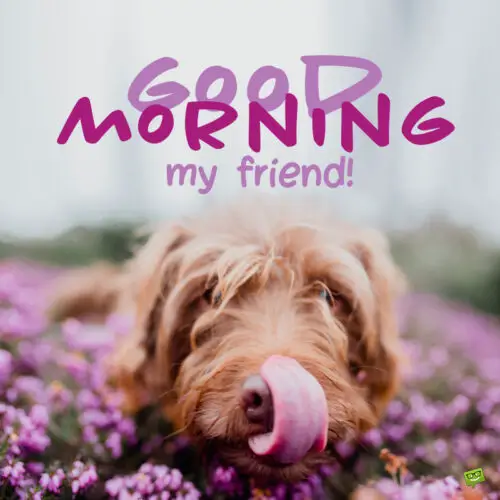 Good morning image with flowers and cute dog.