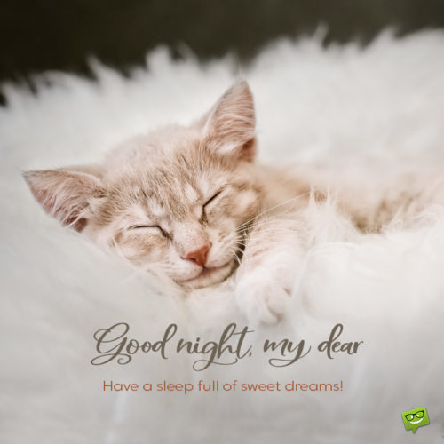 Good night sweet dreams image with a beautiful kitten sleeping.