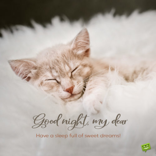 Cute good night message on image with kitten sleeping. | Birthday Wishes Expert Good night image to attach to messages, emails, chats or other social media.