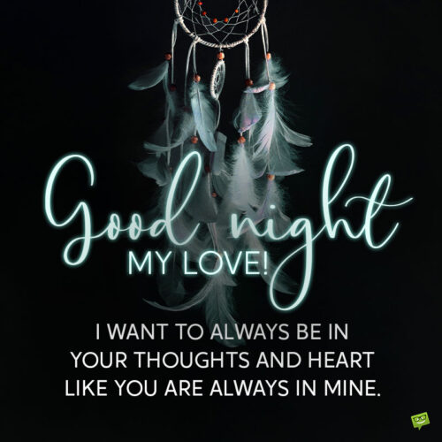 Good night message for the one you love.