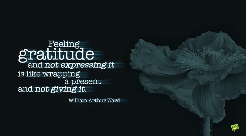 1 Gratitude Quotes As A Source Of Inspiration