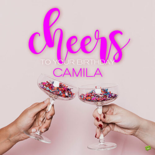 Happy Birthday image for Camila.