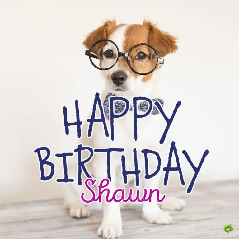 Happy Birthday, Shawn – Images And Wishes To Share With Him