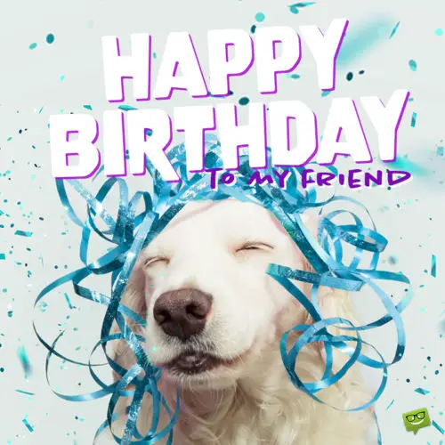 Birthday wish for best friend on funny image with dog. | Birthday Wishes Expert Birthday wish for best friend on funny image for easy sharing on chats and messages.