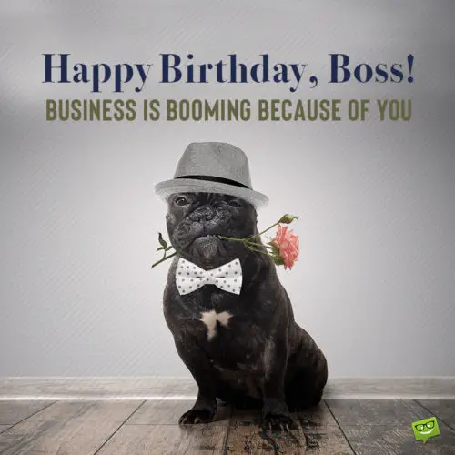 Birthday wish for boss on image with funny dog.