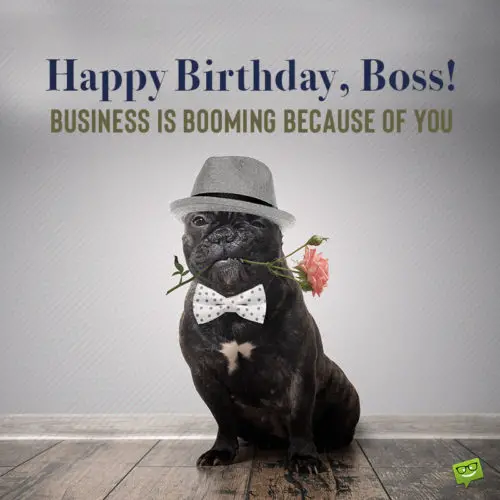 Birthday wish for boss on image with funny dog. | Birthday Wishes Expert Birthday wish for boss on image with funny dog.