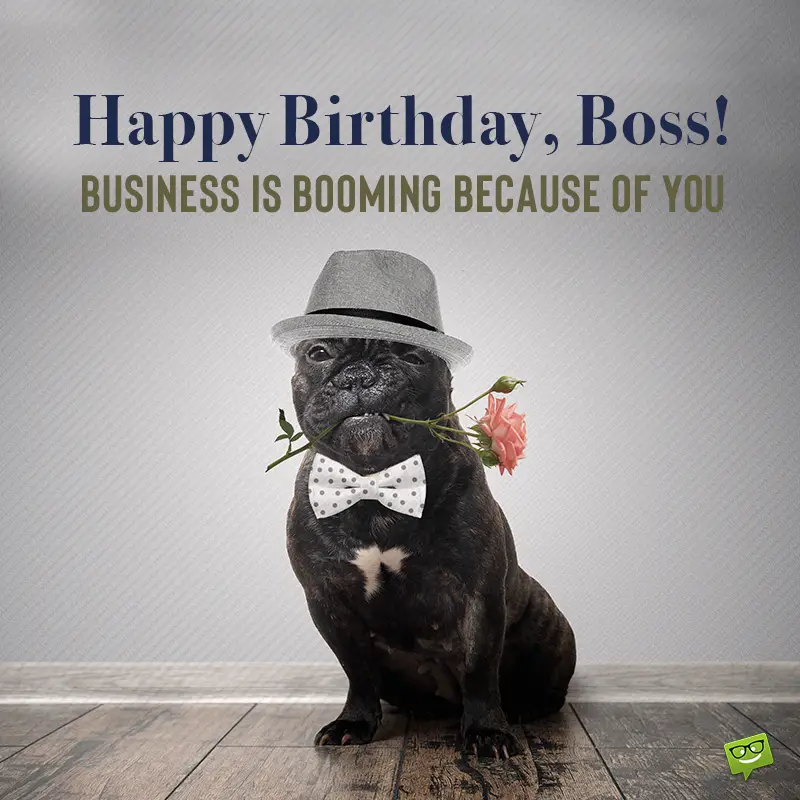 Featured image of post Happy Birthday Wishes To Boss Funny / Thank you sir/madam for helping.