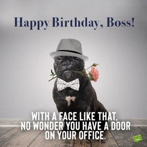 Funny birthday wish for boss on image with dog. | Birthday Wishes Expert Funny birthday wish for boss on image with dog.