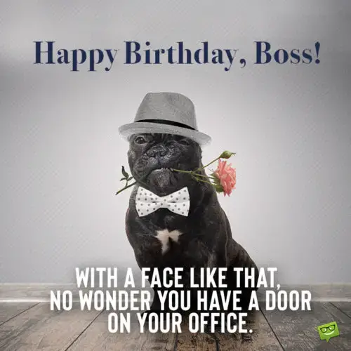 Funny birthday wish for boss on image with dog.