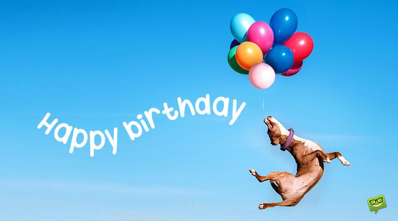 Big Guy&#8217;s Special Day | Happy Birthday, Boy!