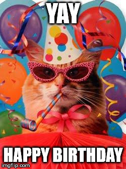 Happy Birthday Cat