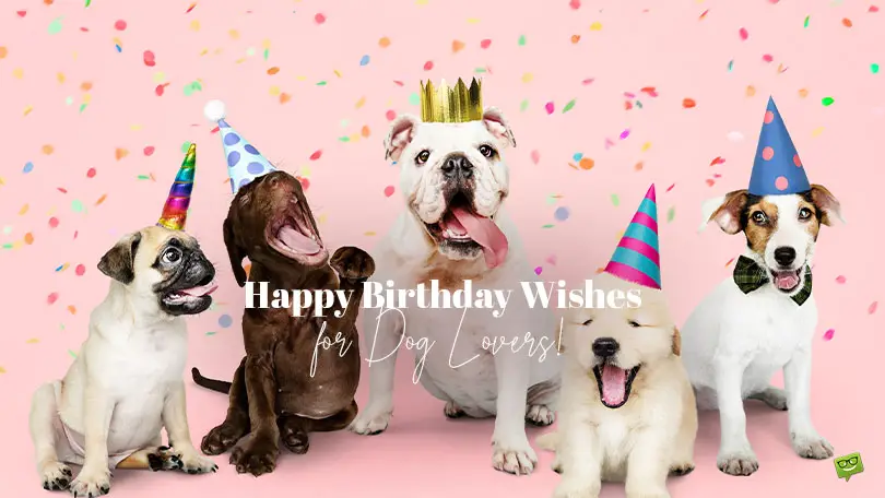 30 Heartwarming and Hilarious Birthday Wishes for Dog Lovers!