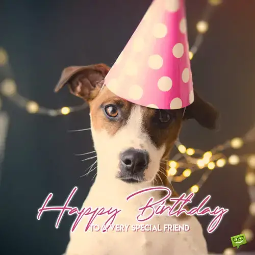 Happy Birthday wish to a friend.