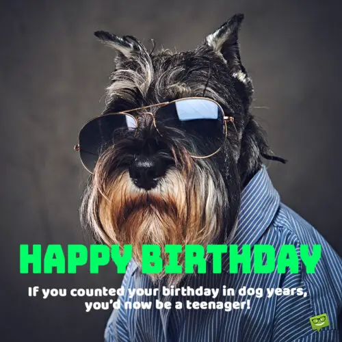 Funny birthday quote teasing about age on image of cool dog. | Birthday Wishes Expert Funny birthday wish for friend.