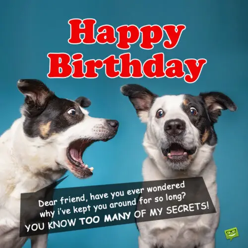 Funny birthday message on image with dogs. | Birthday Wishes Expert Funny birthday image with dogs.