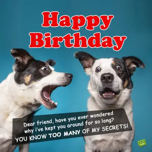 Funny birthday image with dogs.