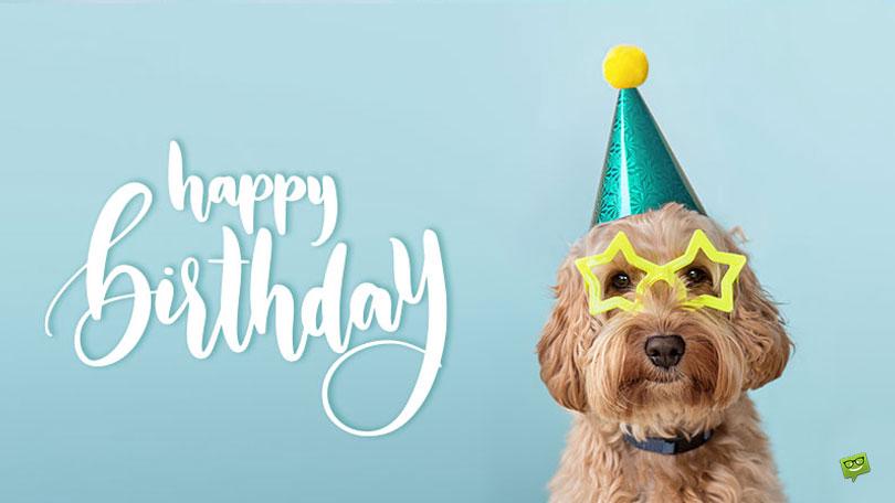 Happy Birthday, Aria! &#8211; Wishes, Images and Memes for Her