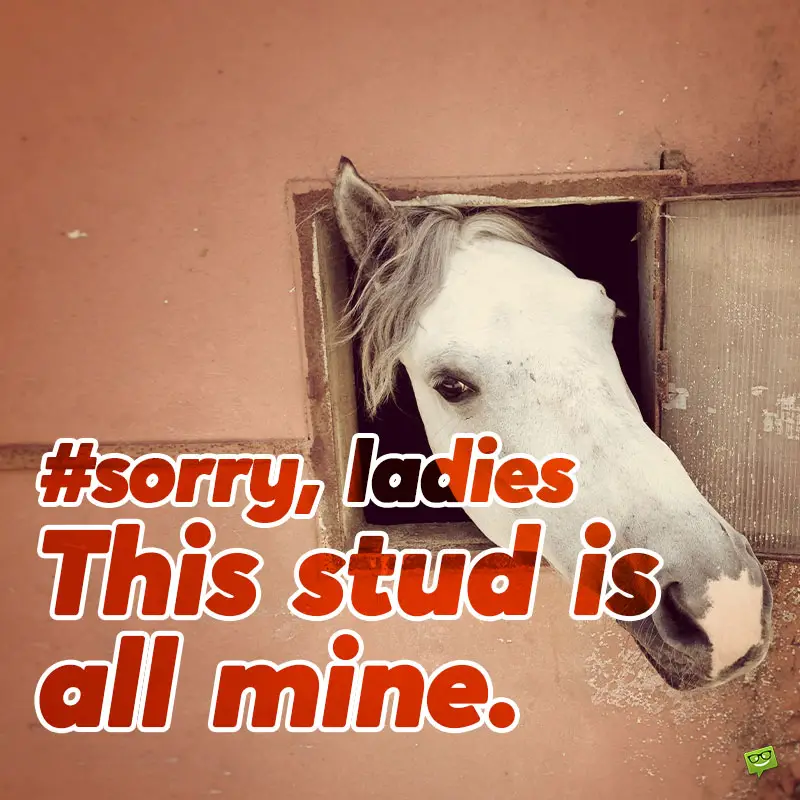 Human Pony Slave Girls Captions Human Pony Slave Girls Captions
