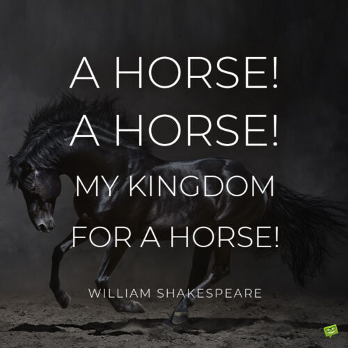Horse quote to note and share.
