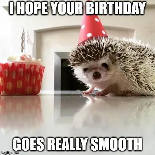 I hope your birthday goes really smooth.