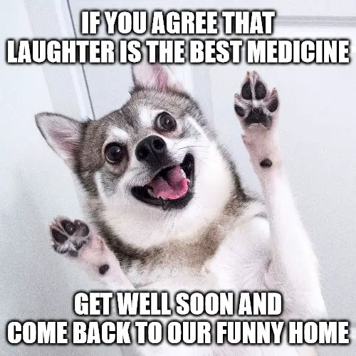 Funny Get Well Soon Memes 