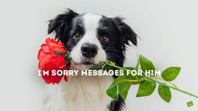 40 I&#8217;m Sorry Messages for Him to Help you Mend Your Relationship