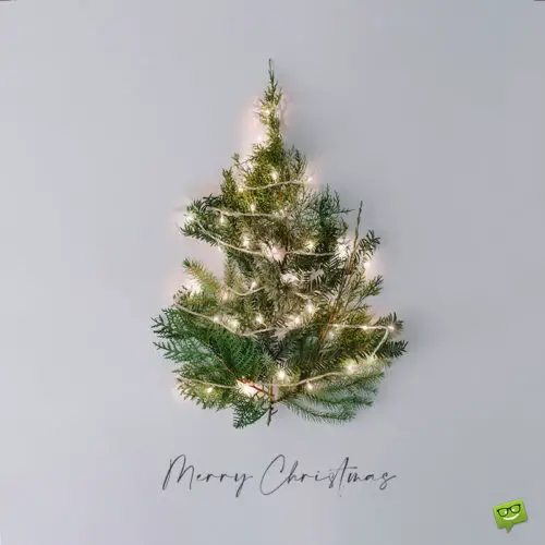 Merry Christmas image for wishing on social media.