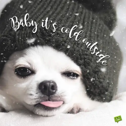 25 Funny Merry Christmas Messages | Birthday Wishes Expert 25 Funny Merry Christmas Messages