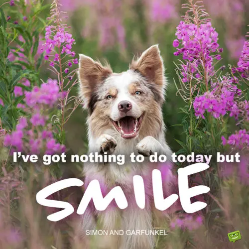 Happy Monday quote on image with dog. | Birthday Wishes Expert Good morning quote to make you smile.