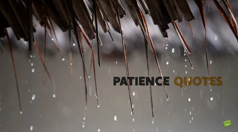 On Those Who Wait&#8230; | 101 Patience Quotes