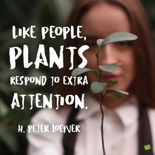Plant quote to note and share.