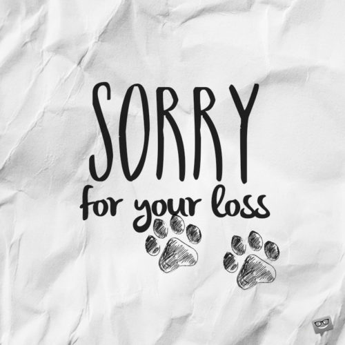 Sorry for the loss of your dog message.