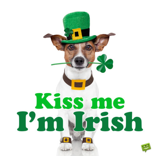 Funny St. Patrick's day image with saying for social media and messages.