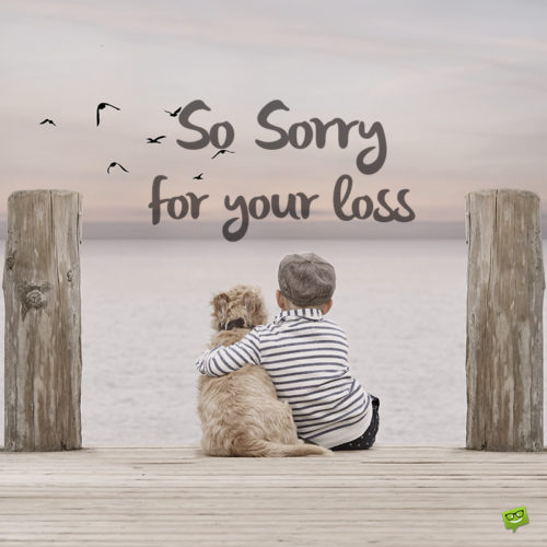 Sympathy message for loss of pet on image. For chats and emails.