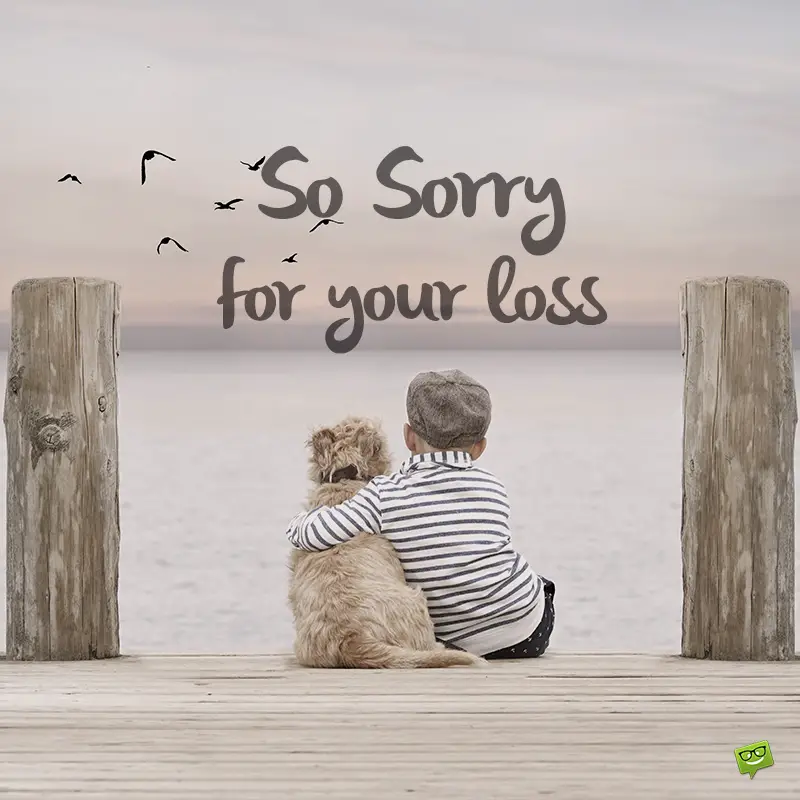 34 Sympathy Messages For The Loss Of A Dear Pet