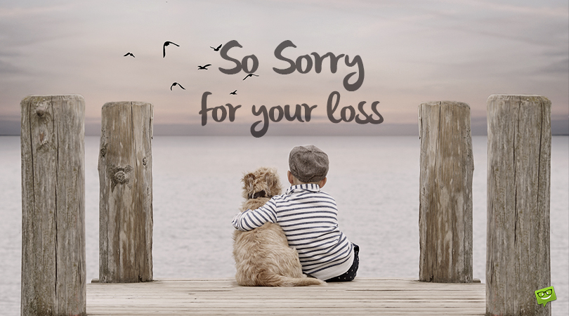 Sympathy message for loss of a pet.