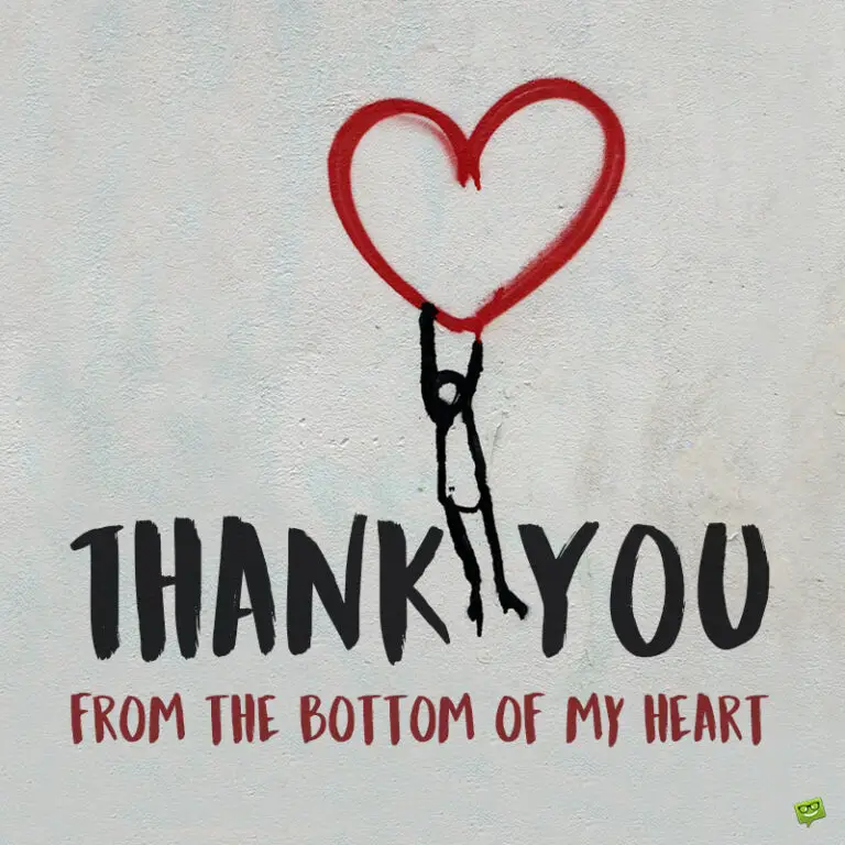 from the bottom of my heart i want to apologize