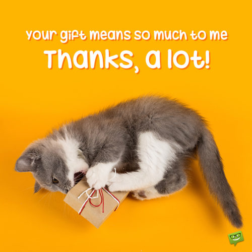 Cute image to help you say thank you for birthday gift on messages, chats, emails and other social media.