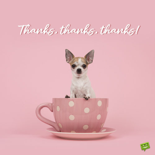 Cute thank you image with puppy in a pink cup.