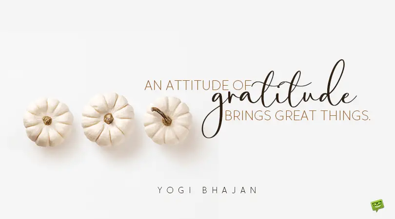 150+ Thanksgiving Quotes for a Day of Real Gratitude