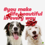 33 Valentine’s Day Captions for Moments of True Love 33 Valentine’s Day Captions for Moments of True Love