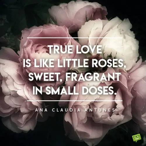 Love quote for Valentine's day.