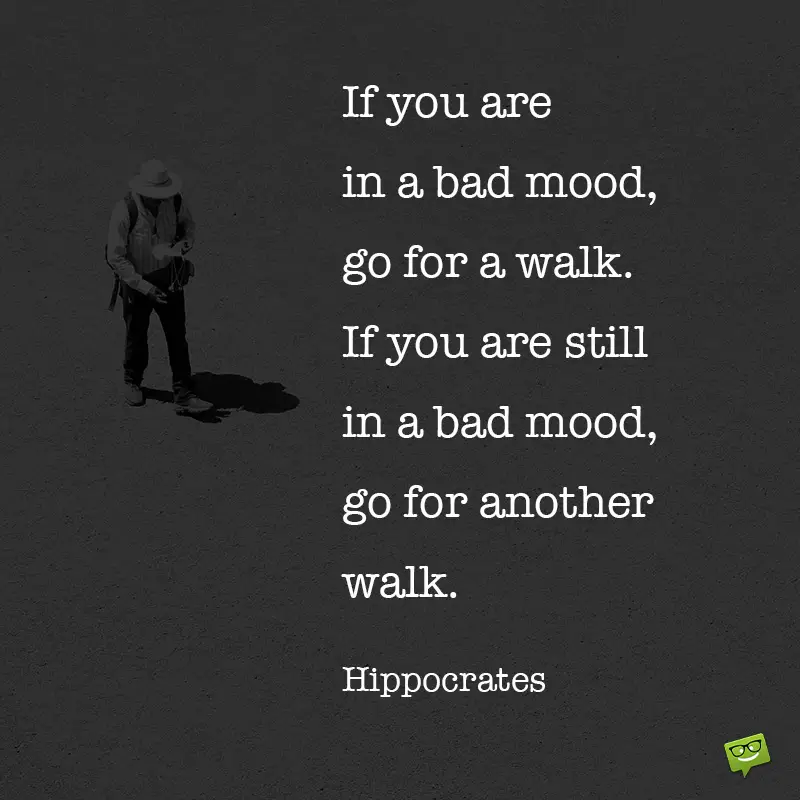 walking-quotes-6.jpg