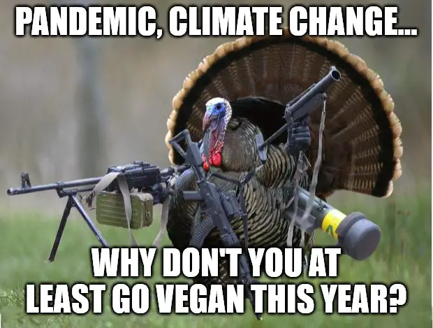 Funny Vegan Thanksgiving Turkey meme.