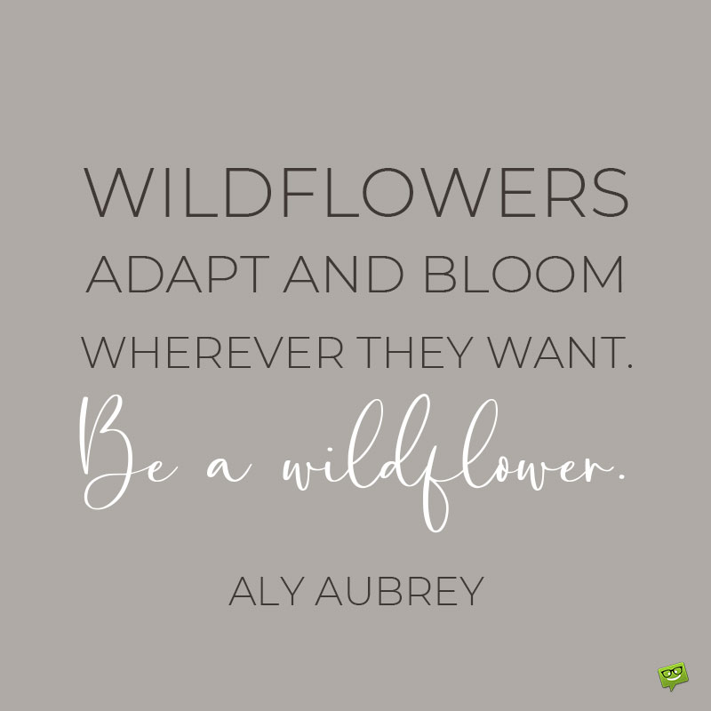 40+ Wildflower Quotes About Beauty, Change and Resilience