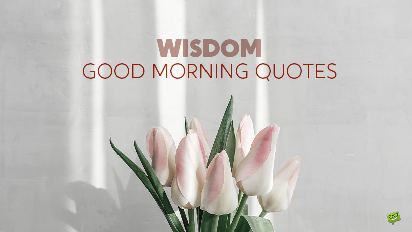 80+ Good Morning Quotes for Everyday Life Wisdom